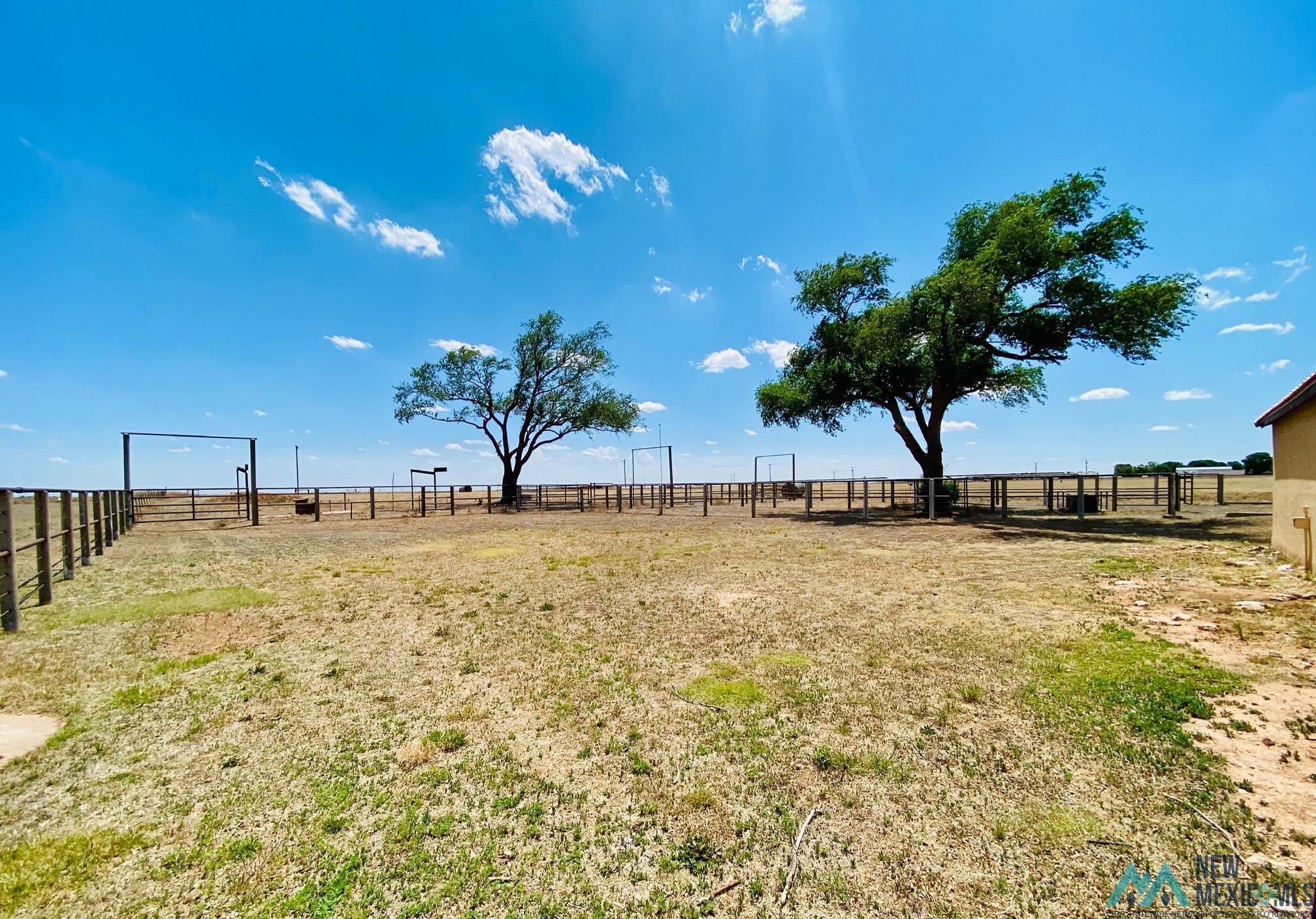 1131 Curry Road North Clovis, NM 88101 - Photo 63 of 69 Expansive outdoor area featuring two mature trees, perimeter fencing, and multiple fenced enclosures
