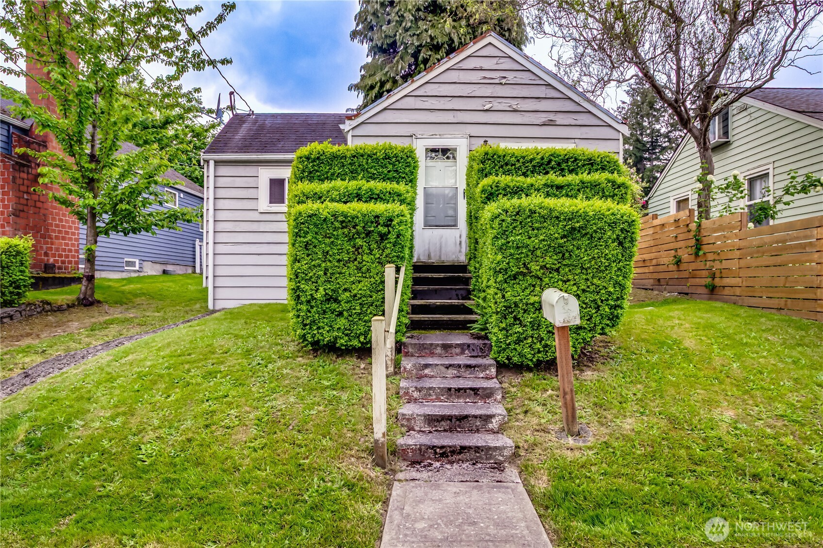 a view of a back yard with plants