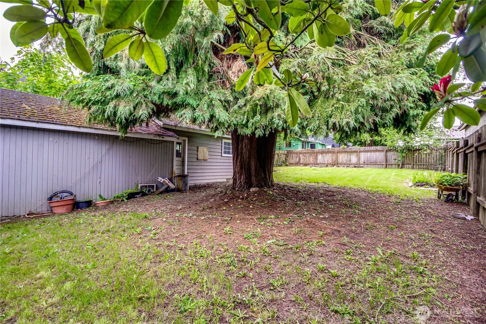 9817 35th Avenue Southwest Seattle, WA 98126 - Photo 12 of 25 a backyard of a house with lots of green space