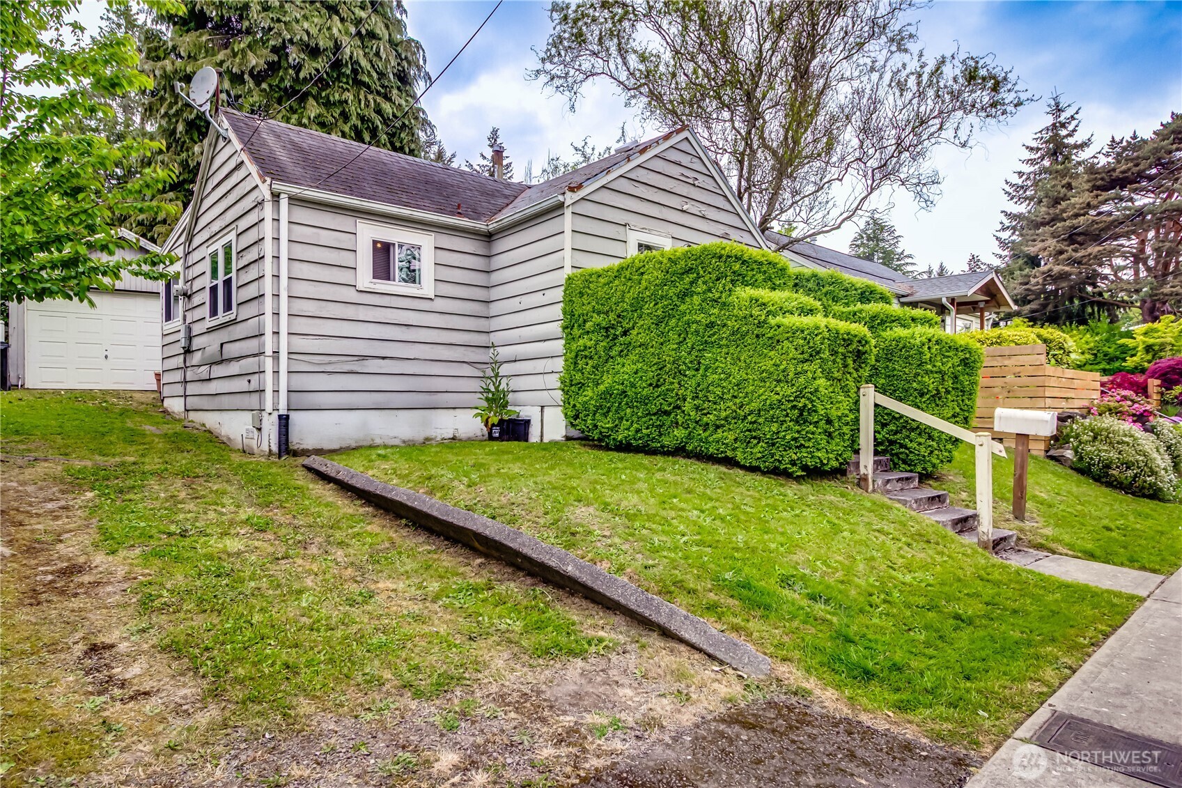 9817 35th Avenue Southwest Seattle, WA 98126 - Photo 15 of 25 a view of a backyard with potted plants and large tree
