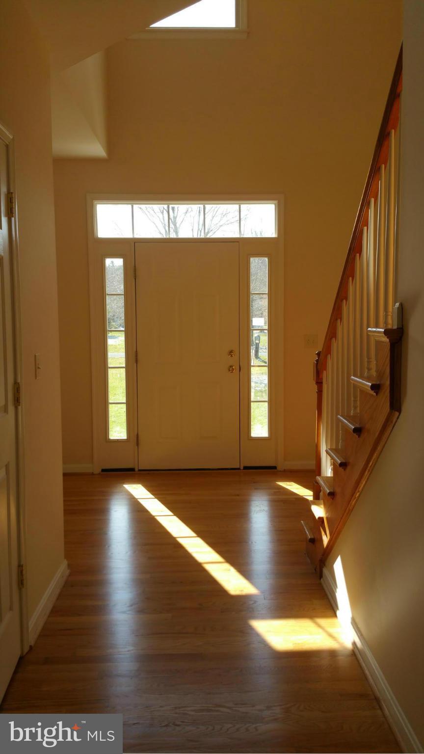 Interior (General)