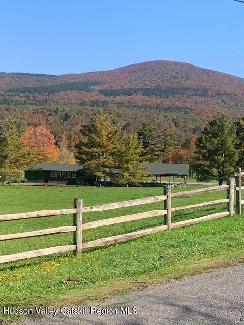 0 Peck Road Maplecrest, NY 12454 - Photo 8 of 11 7