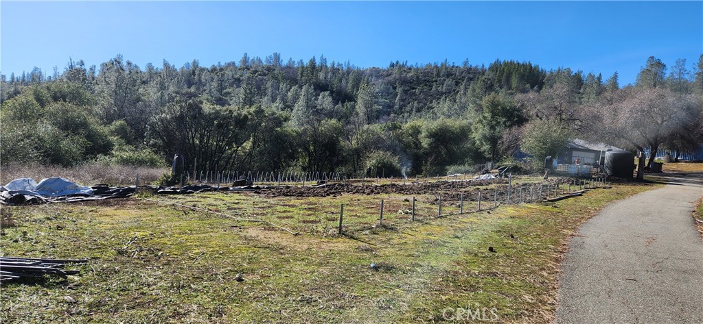 238 Elams Ranch Road Oroville, CA 95966 - Photo 4 of 75 Garden Area with 220v and 110 Power.