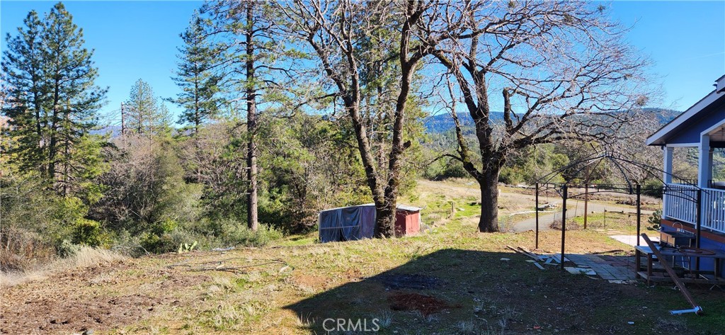 238 Elams Ranch Road Oroville, CA 95966 - Photo 51 of 75 a fire hydrant in middle of forest