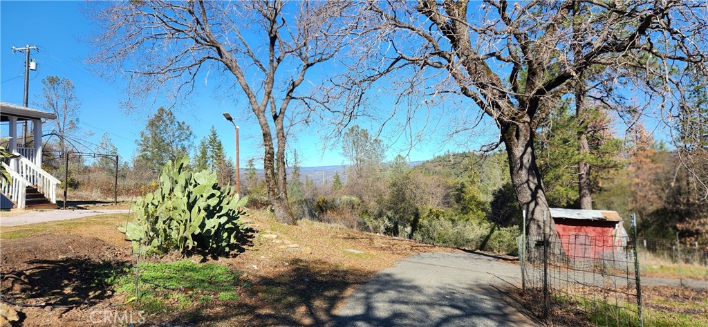 238 Elams Ranch Road Oroville, CA 95966 - Photo 60 of 75 a pathway of a yard and an trees