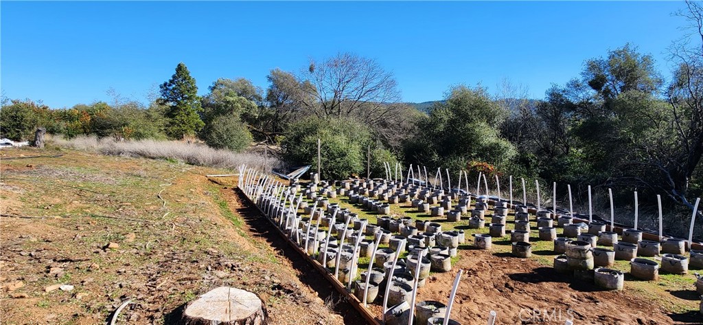 238 Elams Ranch Road Oroville, CA 95966 - Photo 66 of 75 a view of outdoor space and yard