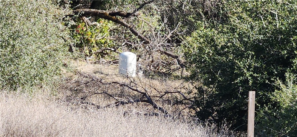 238 Elams Ranch Road Oroville, CA 95966 - Photo 67 of 75 a view of a tree