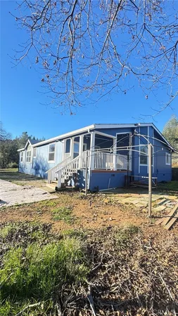 a view of a tree with a yard