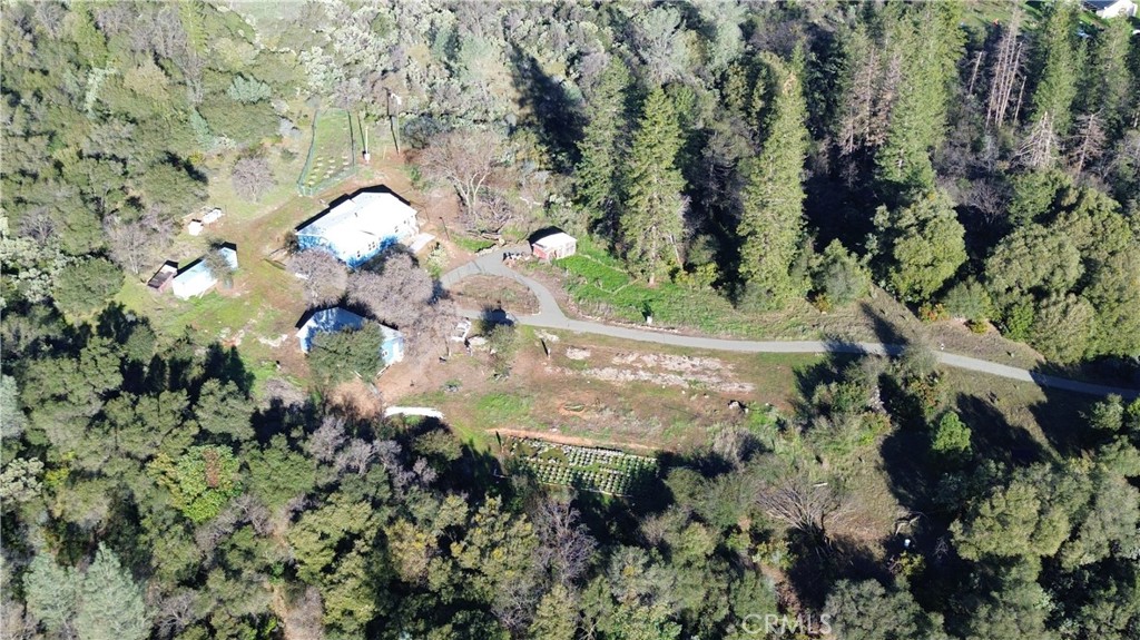 238 Elams Ranch Road Oroville, CA 95966 - Photo 10 of 75