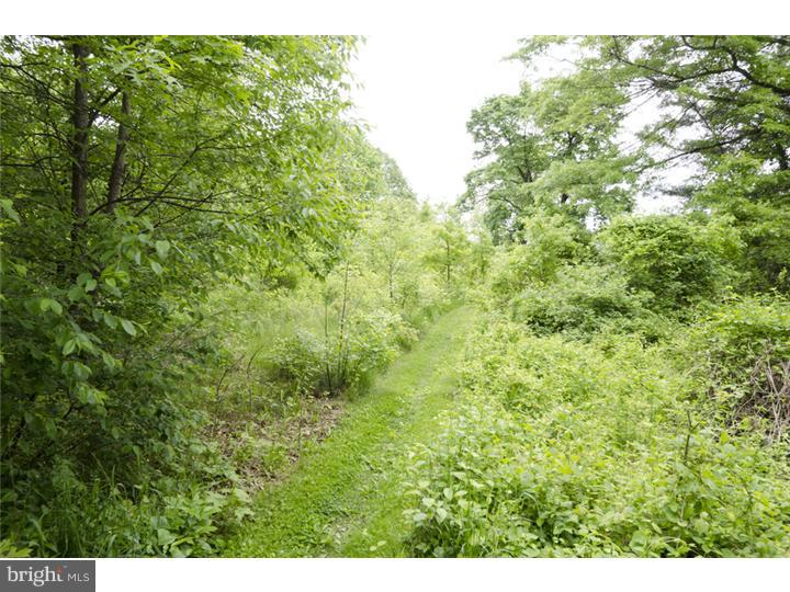 148 Carter Road Princeton, NJ 08540 - Photo 20 of 20