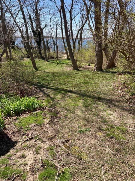 48 Nauhaught Bluff Road Wellfleet, MA 02667 - Photo 26 of 31 Winter peeks from deck