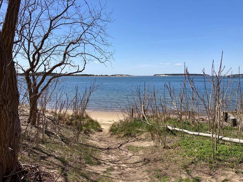 48 Nauhaught Bluff Road Wellfleet, MA 02667 - Photo 27 of 31 Nearby beach