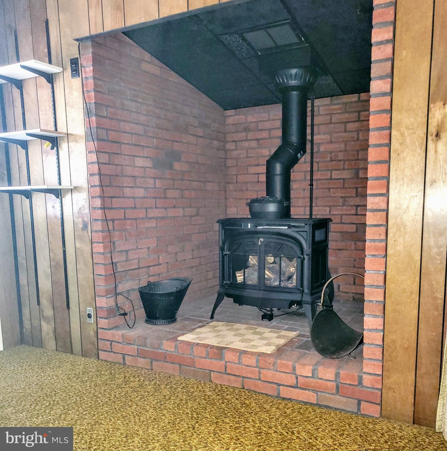 109 Congress Avenue Springfield, PA 19064 - Photo 12 of 19 Gas Stove/Fireplace