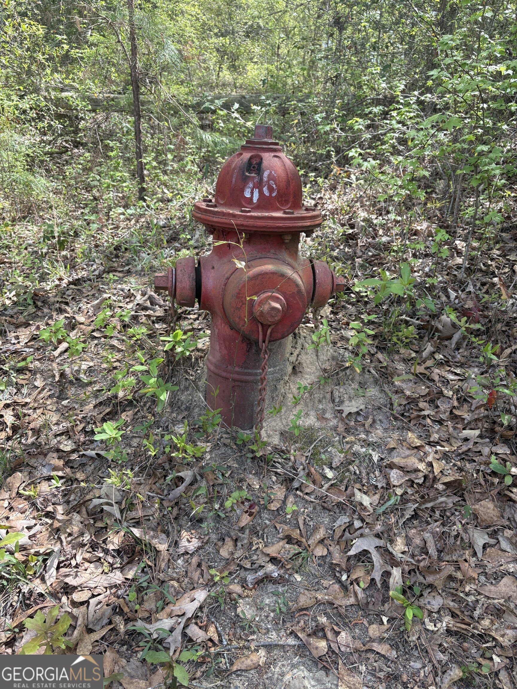 T5 Dc Hardie Road Gordon, GA 31031 - Photo 5 of 9 a fire hydrant in a middle of a forest