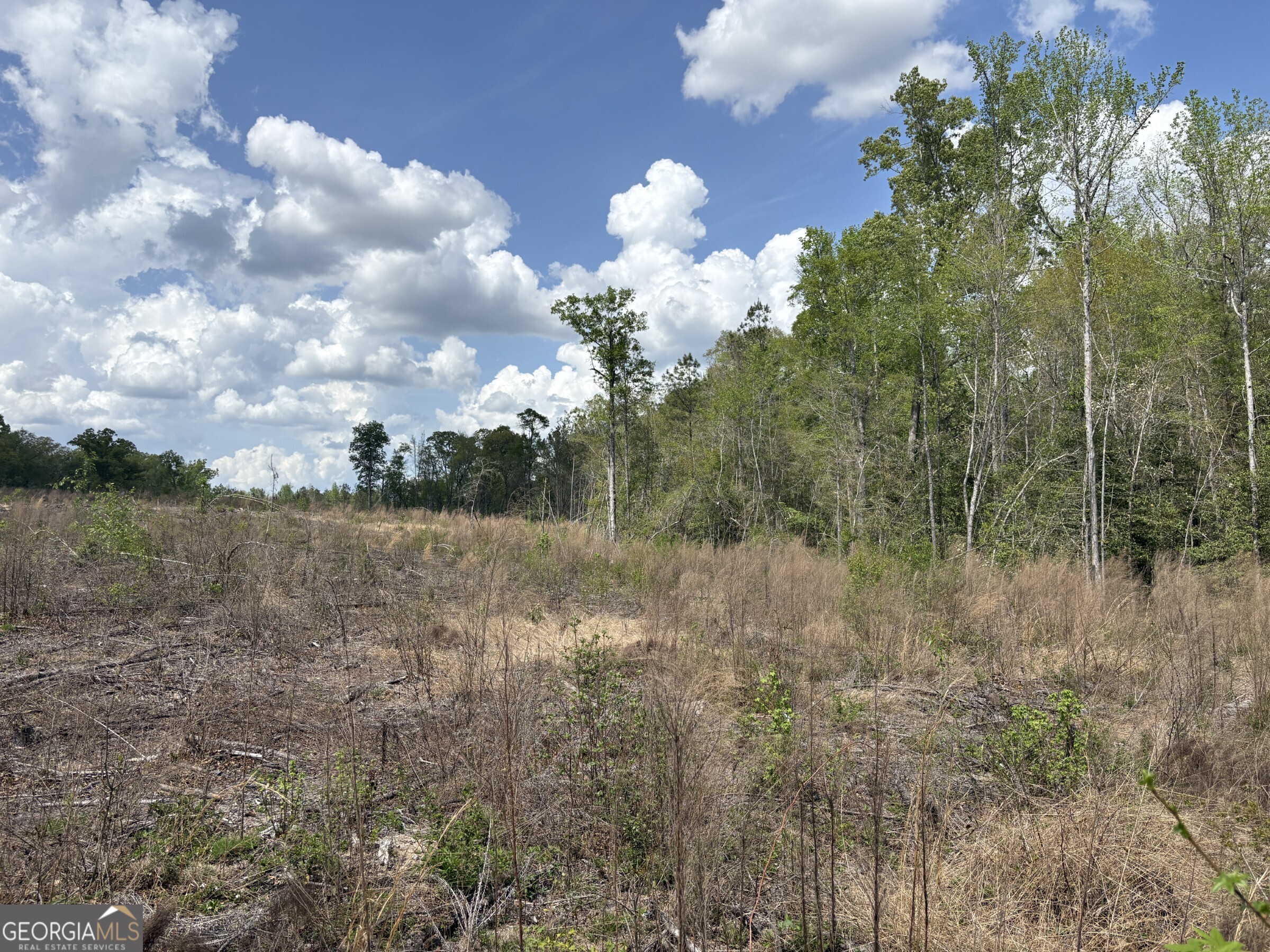 T5 Dc Hardie Road Gordon, GA 31031 - Photo 9 of 9 a view of a lake with a yard