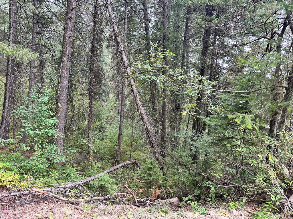 515 Collier View Road, Unit 35 Cascade, ID 83611 - Photo 5 of 11