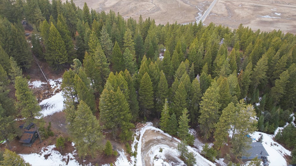 515 Collier View Road, Unit 35 Cascade, ID 83611 - Photo 7 of 11