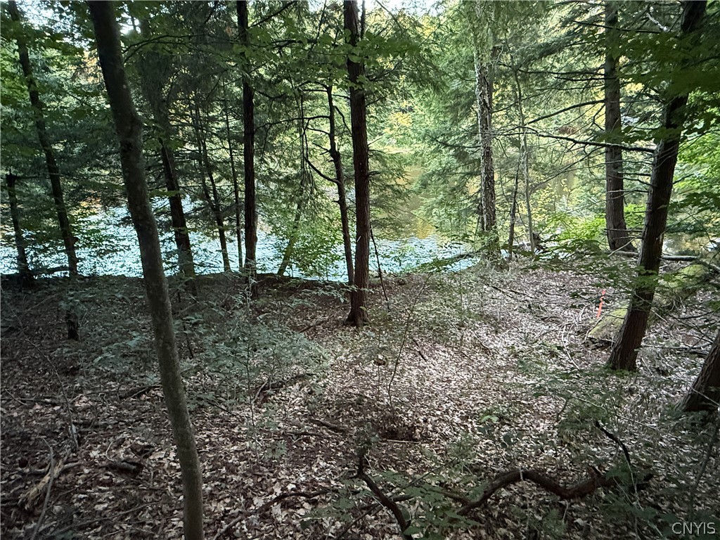 Lot 1 River Road Forestport, NY 13338 - Photo 5 of 13 Gallery Image 5
