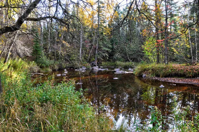 $50,000 | Xxxx Lackson Road, Poplar, WI 54864