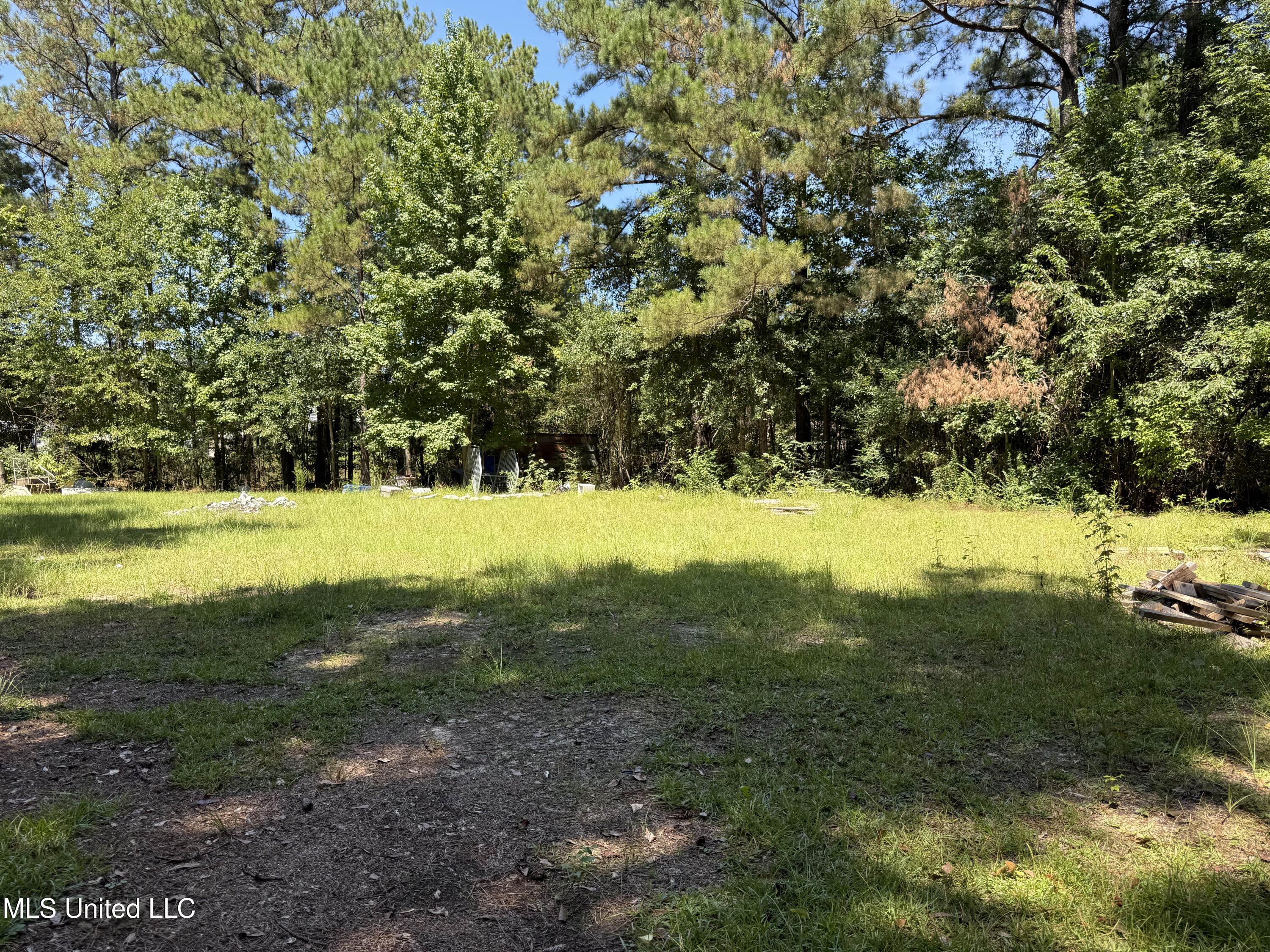 918 Spring Hill Road Poplarville, MS 39470 - Photo 7 of 22 IMG_5668