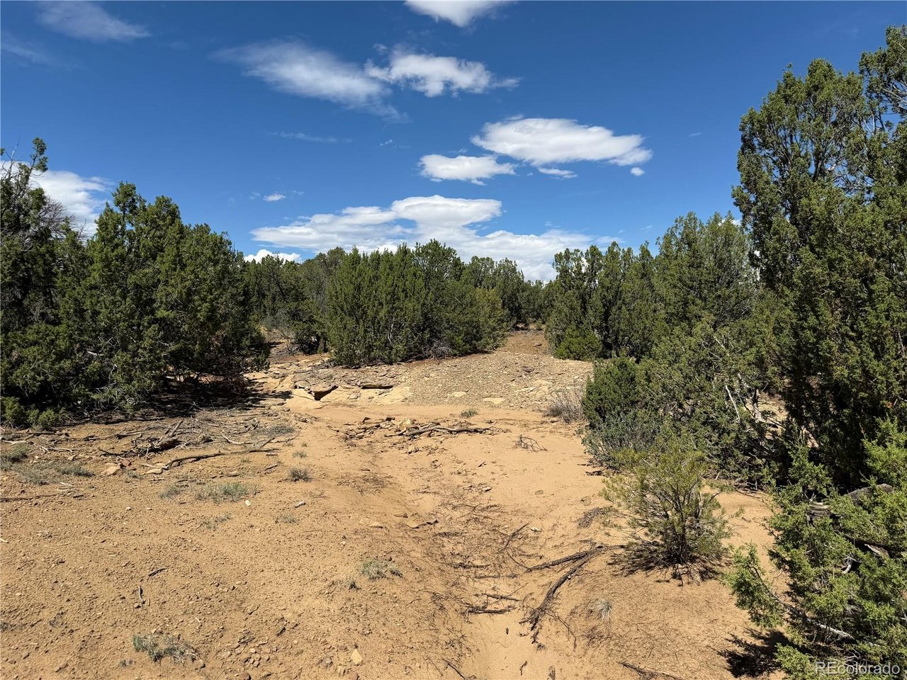 81 Twin Lakes Road Walsenburg, CO 81089 - Photo 22 of 26 Gallery Image 22