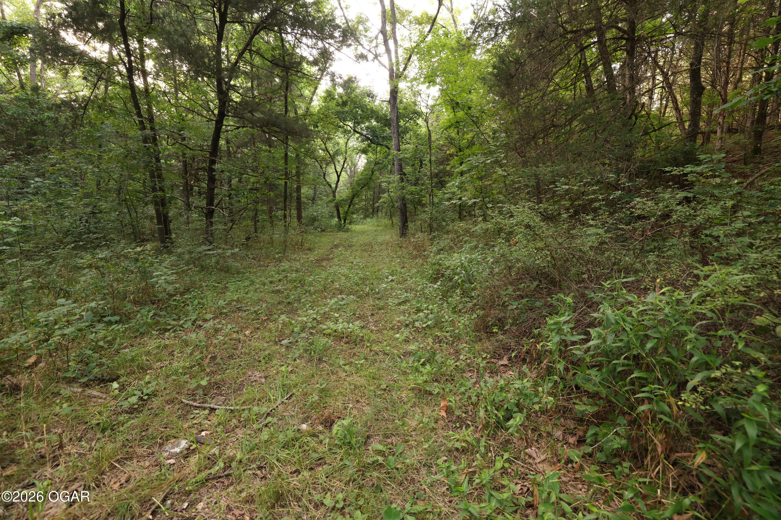 861 Tilden Road Galena, MO 65656 - Photo 45 of 67 Gallery Image 45