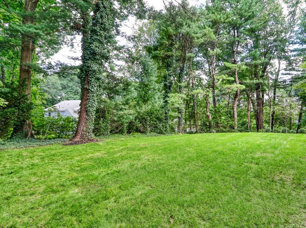 18 Lanark Road Wellesley, MA 02481 - Photo 41 of 42