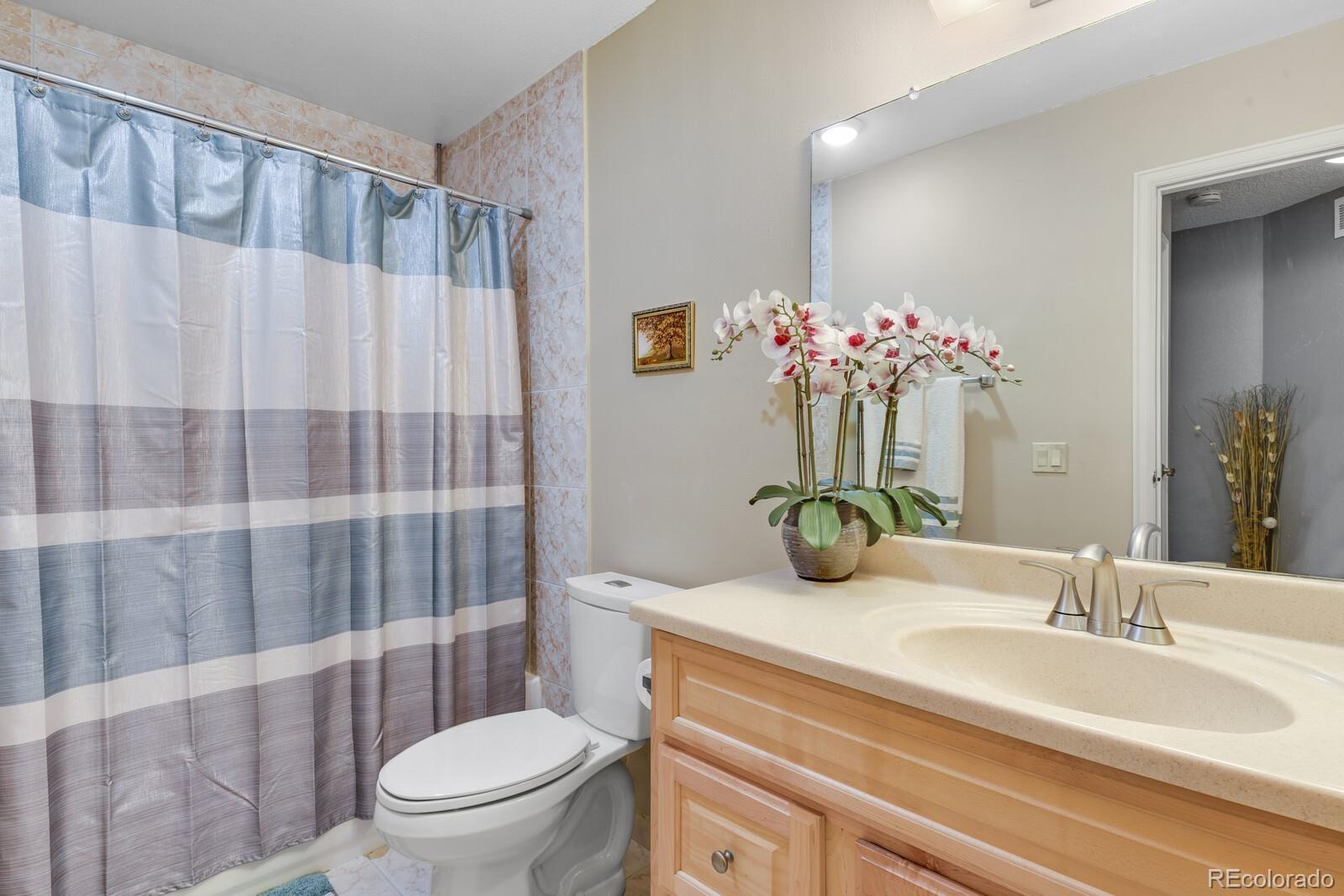 502 Ridgeglen Way Highlands Ranch, CO 80126 - Photo 26 of 39 Gallery Image 26