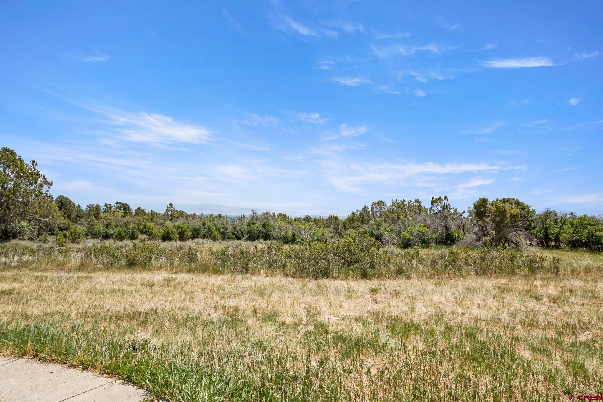 21565 Highway 65 Cedaredge, CO 81413 - Photo 31 of 42 a view of mountain with lake view
