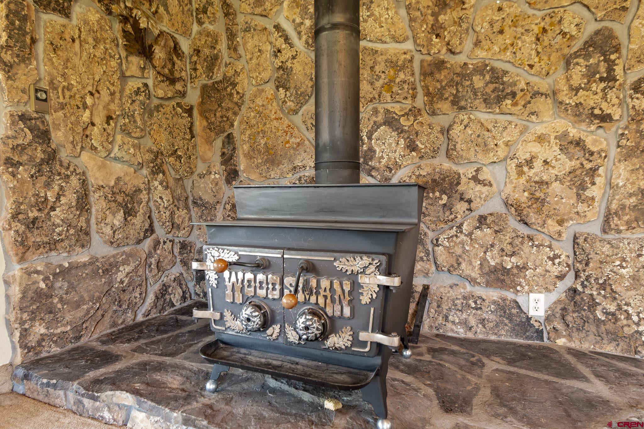 21565 Highway 65 Cedaredge, CO 81413 - Photo 6 of 42 a view of fireplace with wooden door