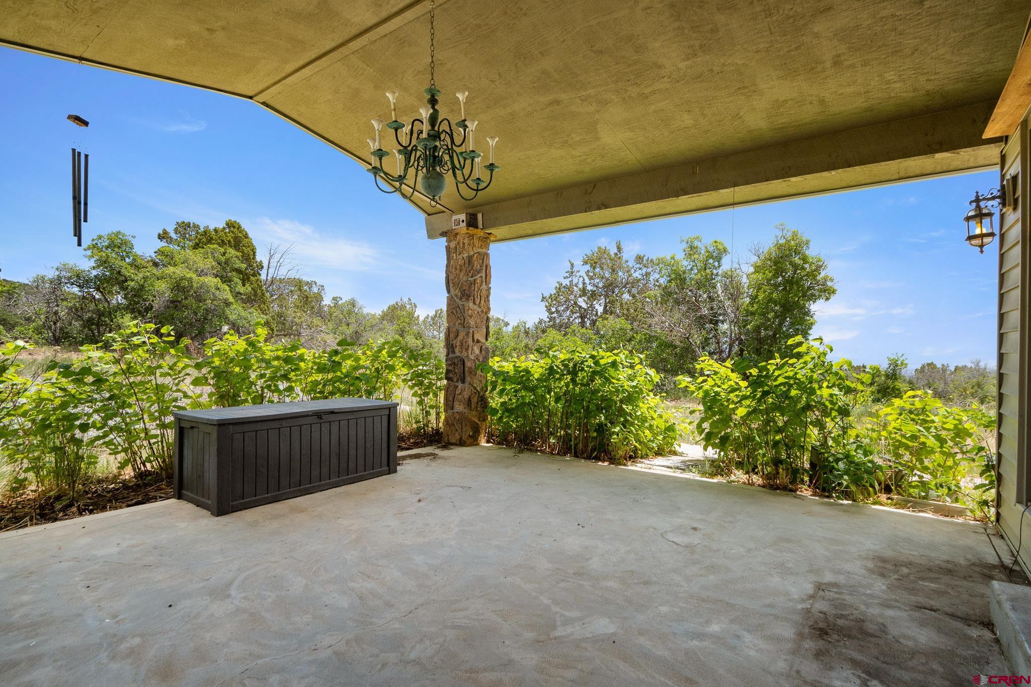 21565 Highway 65 Cedaredge, CO 81413 - Photo 8 of 42 a big room with potted plants and a large tree