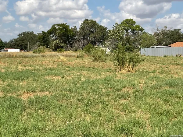 a view of a yard