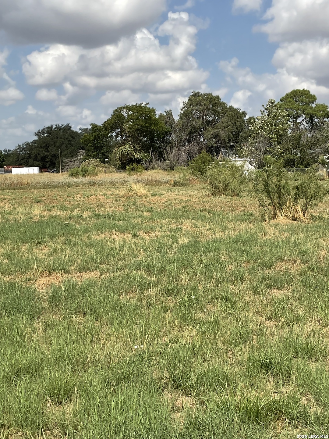 0 Libold Drive Devine, TX 78016 - Photo 3 of 5