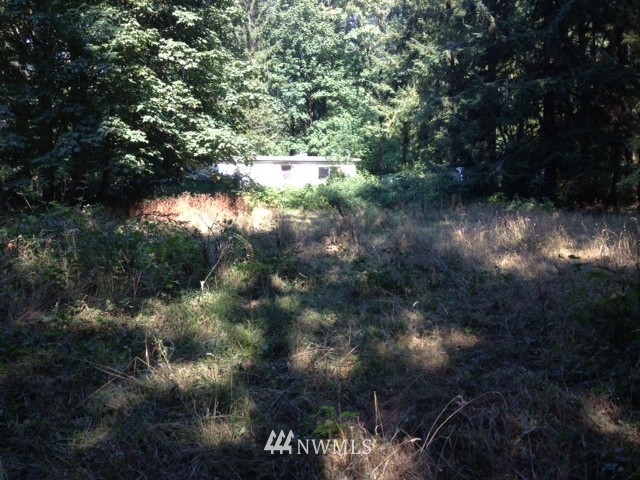 536 Woolford Road Kalama, WA 98625 - Photo 1 of 4 Gallery Image 1