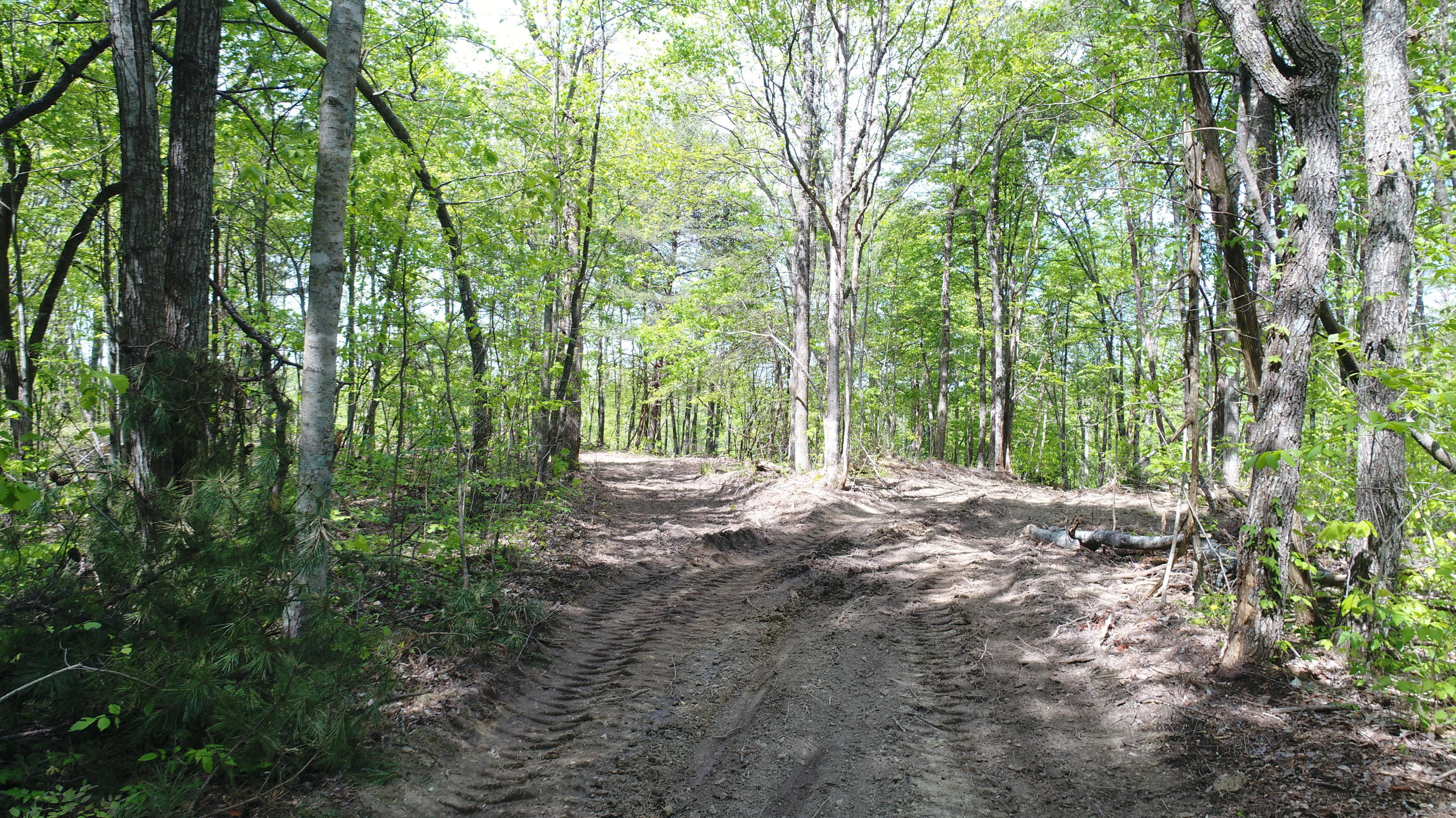 1234 Pine Ridge Road Somerset, KY 42501 - Photo 27 of 34 DJI_0335