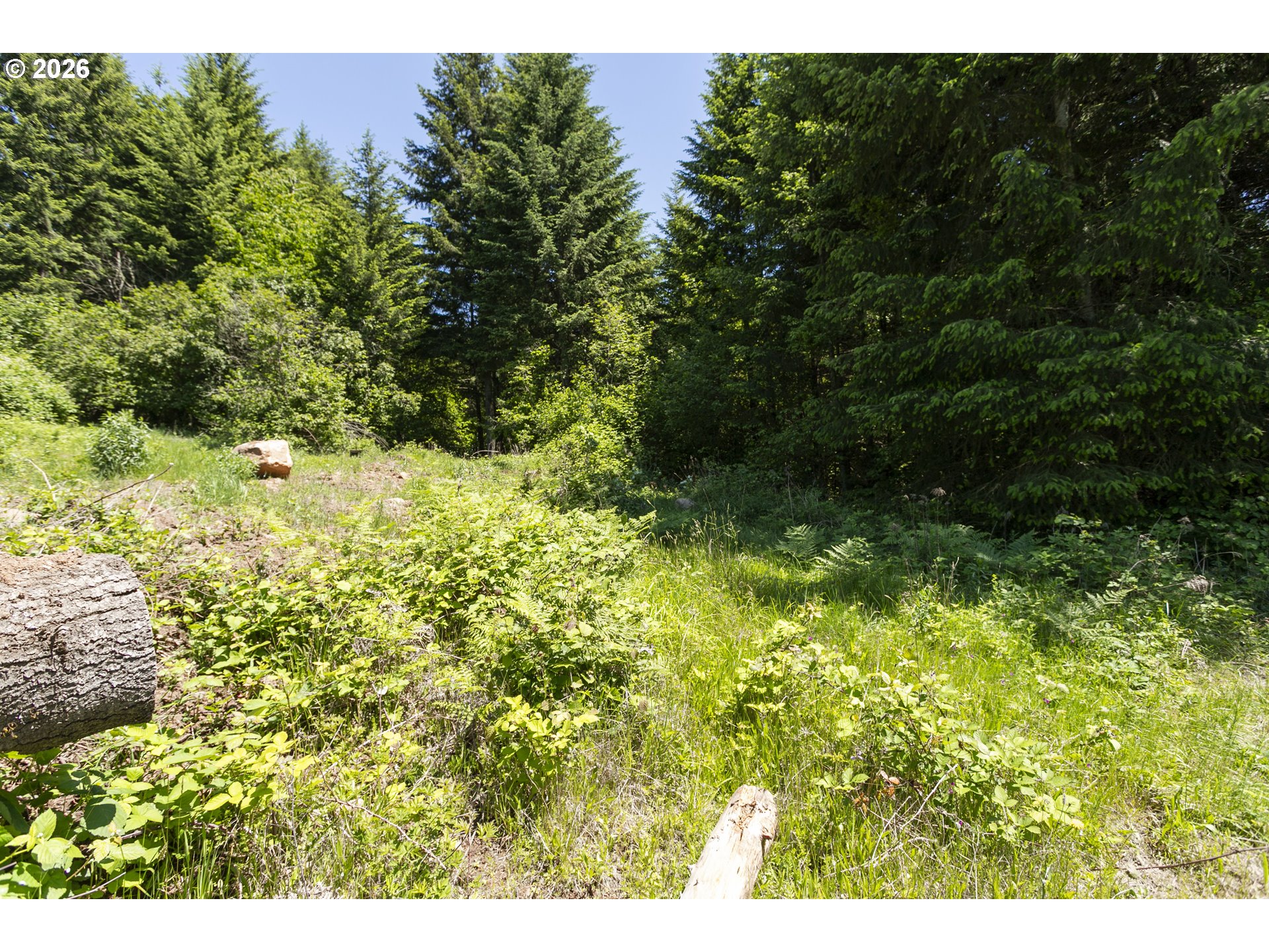 0 Northeast 292nd Court Camas, WA 98607 - Photo 6 of 14