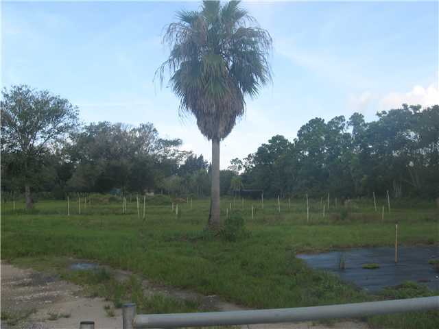 17151 Jupiter Farms Road Jupiter, FL 33478 - Photo 2 of 2 Additional Photo
