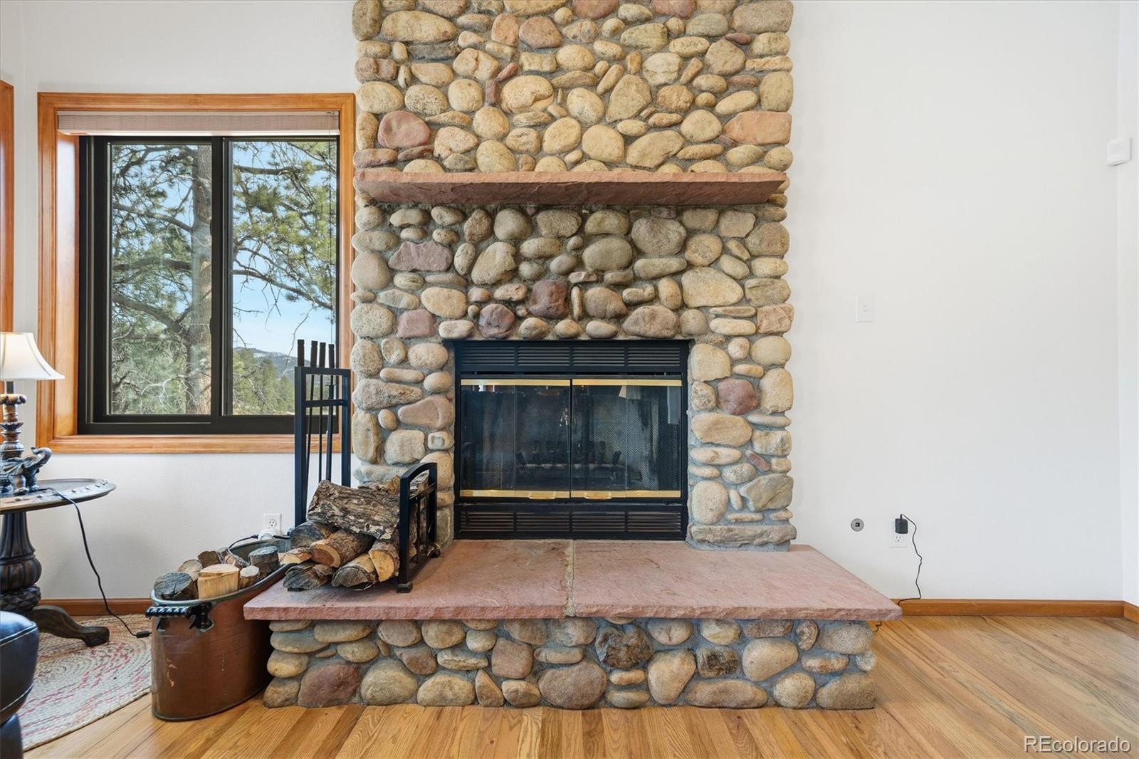 2565 Nova Road Pine, CO 80470 - Photo 12 of 50 a room with a fireplace and a wooden floor