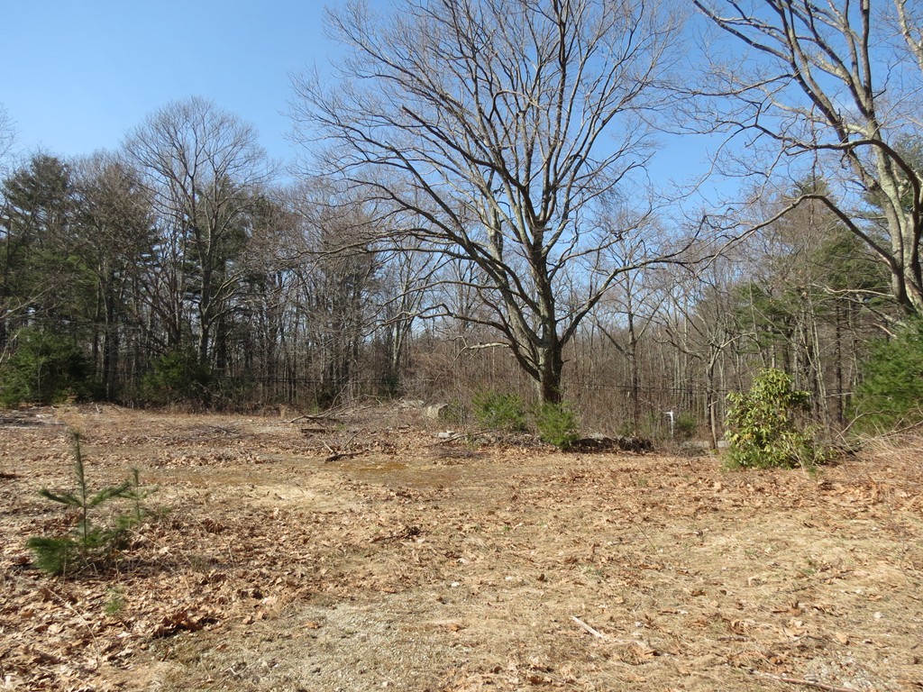 51 Carleton Road Millbury, MA 01527 - Photo 1 of 3 Gallery Image 1