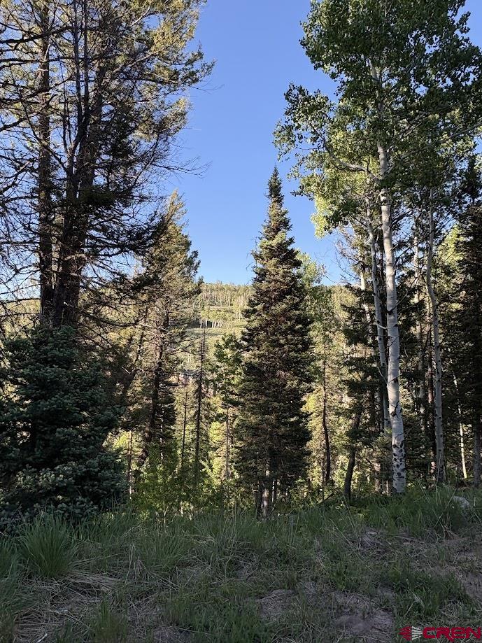449 Ute Road Cimarron, CO 81220 - Photo 1 of 9