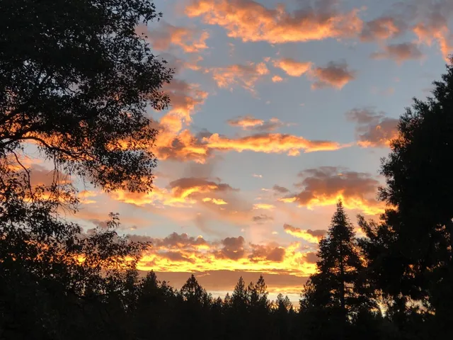 a room with a table chairs and a dresser