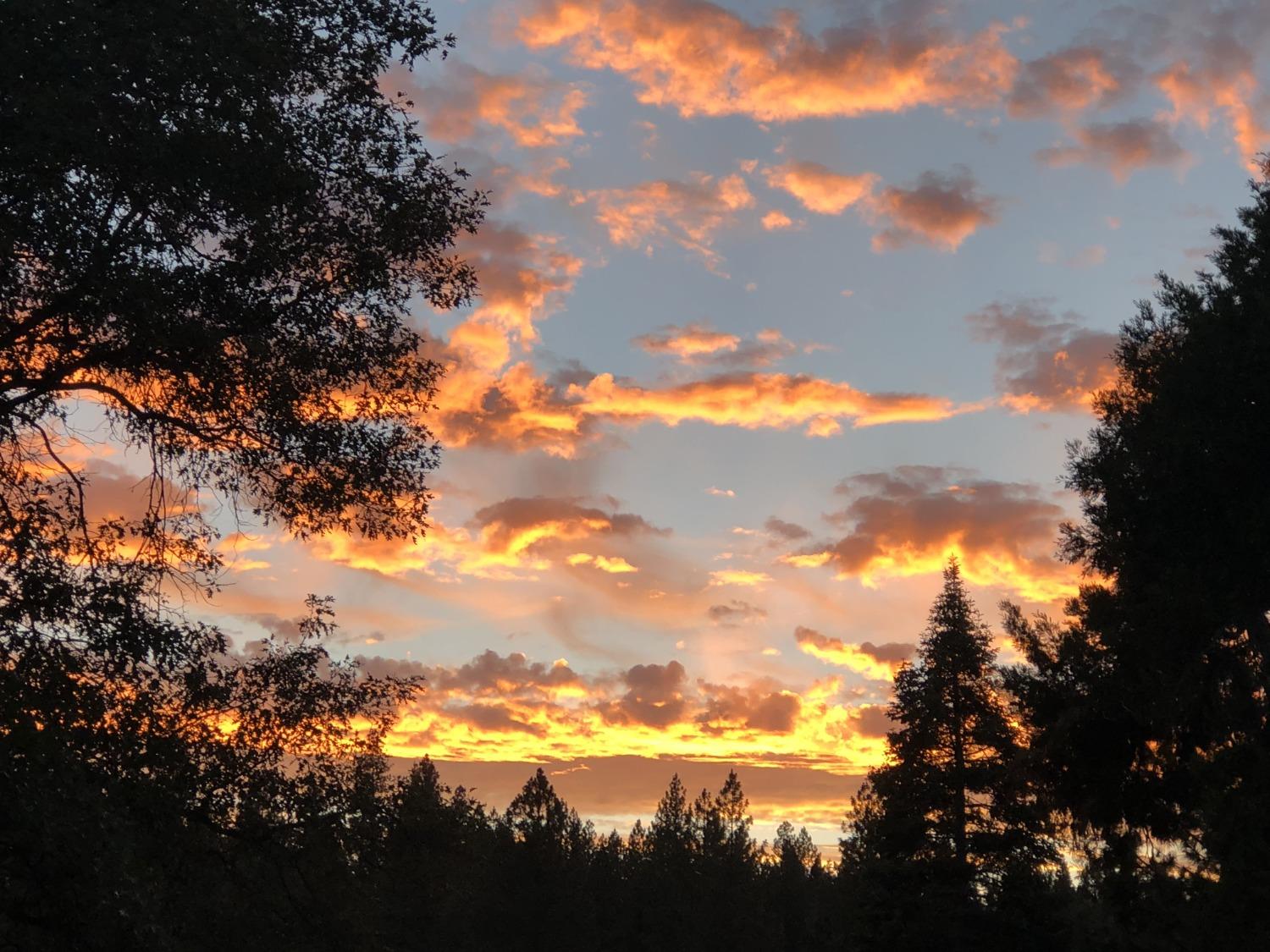 5110 Sly Park Road Pollock Pines, CA 95726 - Photo 40 of 86