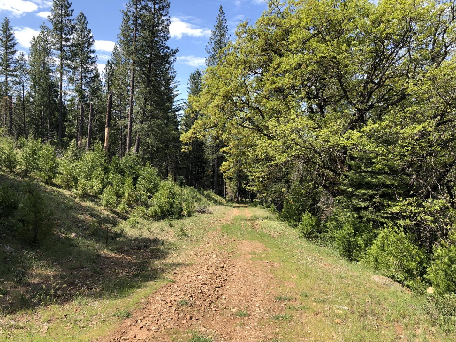 5110 Sly Park Road Pollock Pines, CA 95726 - Photo 41 of 86