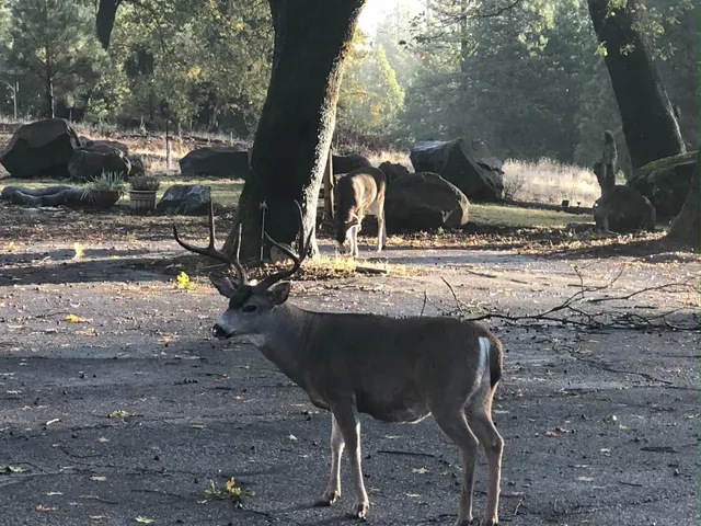 a kitchen with stainless steel appliances a sink and a refrigerator