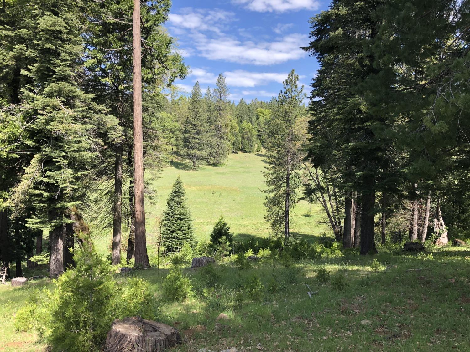 5110 Sly Park Road Pollock Pines, CA 95726 - Photo 50 of 86