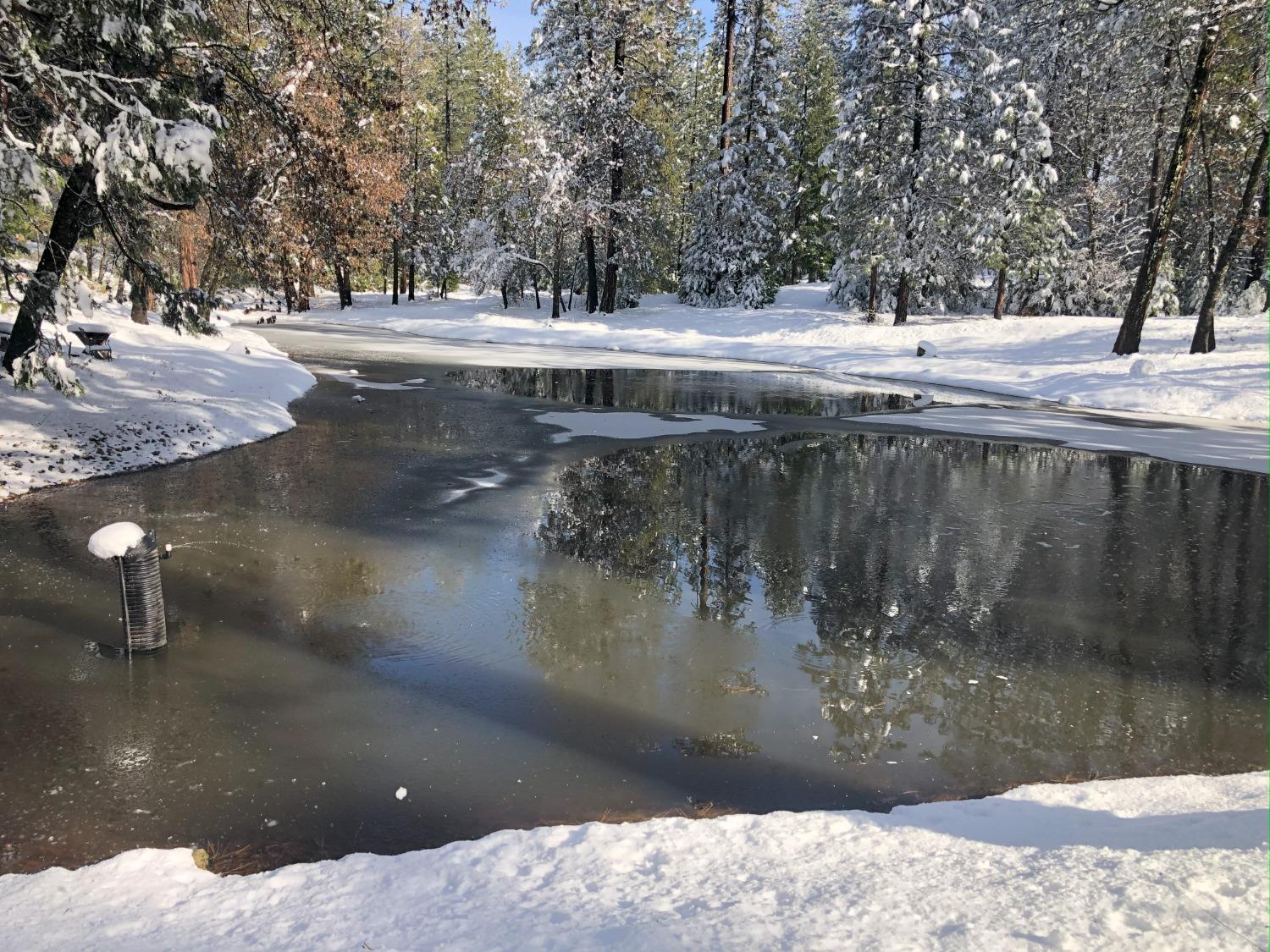 5110 Sly Park Road Pollock Pines, CA 95726 - Photo 52 of 86