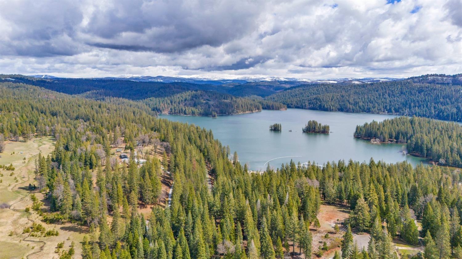 5110 Sly Park Road Pollock Pines, CA 95726 - Photo 59 of 86 a view of a bunch of trees and bushes