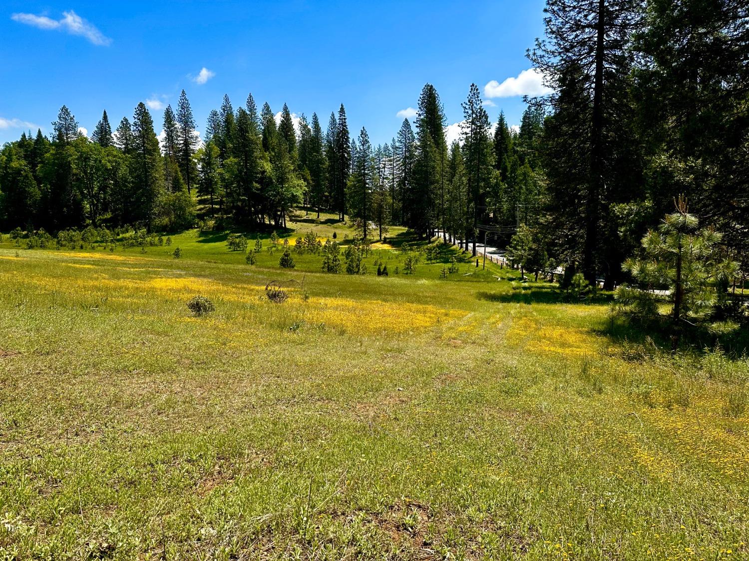 5110 Sly Park Road Pollock Pines, CA 95726 - Photo 66 of 86 a view of a swimming pool with an outdoor space and seating area