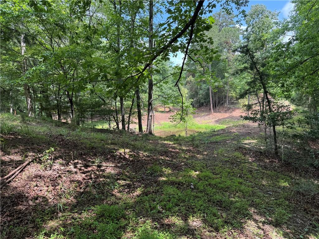3.5-ac Ben Higgins Road Dahlonega, GA 30533 - Photo 19 of 21