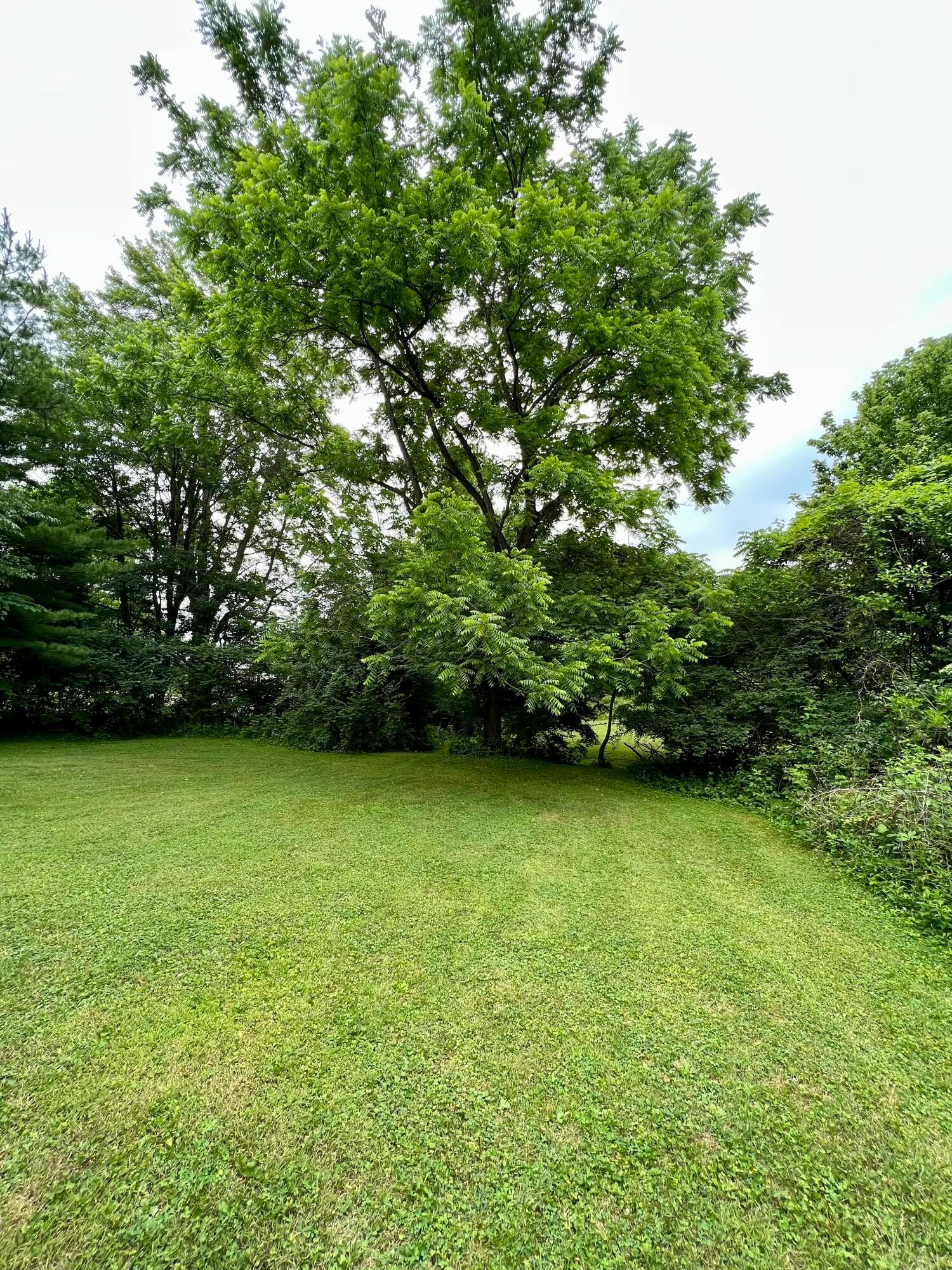0 County Line Road Kingston, OH 45644 - Photo 11 of 26 IMG_9503